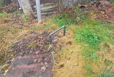 20 de arii si 2 case in Fi?cau - 5