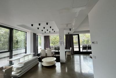 DUPLEX SUPERB CU 4 CAMERE LA  INCHIRIERE IN ZONA FLOREASCA - 3