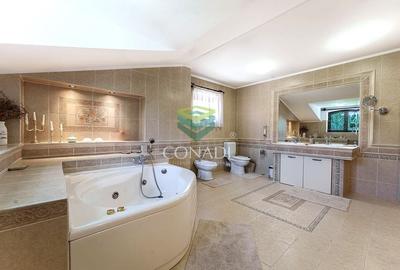 Iancu Nicolae, vila speciala cu 6 camere, 1621 mp teren, de vanzare - 11