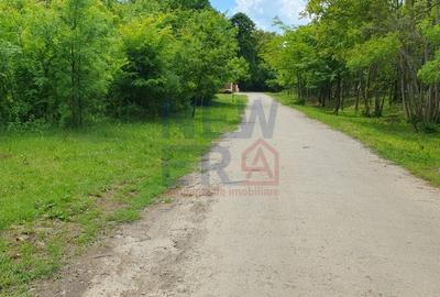 De vanzare 2.770mp teren intravilan Snagov - 5