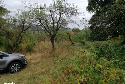 Teren de 720 mp, în Vlădești - 4