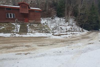 Casă cu 3 camere în Central - 2