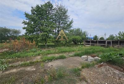 Teren de 10000 mp, în Periferie - 8