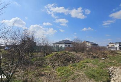 Spațiu comercial, în Domnești - 3