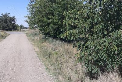 Teren de 4000 mp, în Căldărușeanca - 5