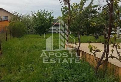 Casa individuala3 dormitoareMosnita Noua - 2