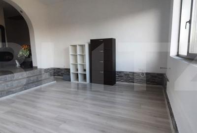 Casă cu 7 camere decomandat cu Teren 2600 Mp în Micula - 2