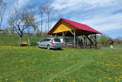 Teren de 5000 mp, în Galeșu - 2