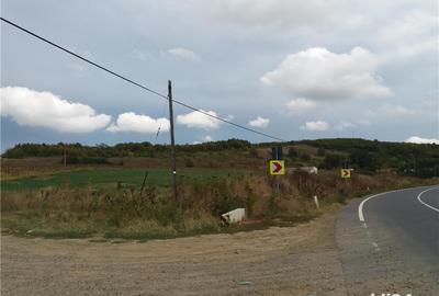 Teren de 15000 mp, în Poieni - 2
