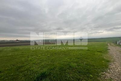 Teren agricol extravilan de 800 mp, în Moara - 5