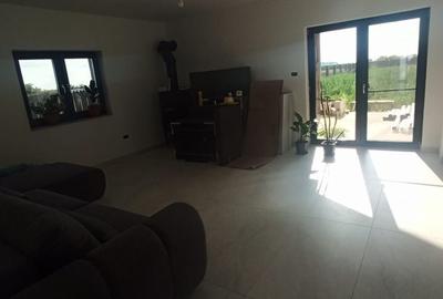 Casă cu 3 camere cu Teren 1100 Mp în Vladimirescu - 10