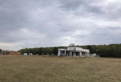 Teren de 2000 mp, în Coșoveni - 3