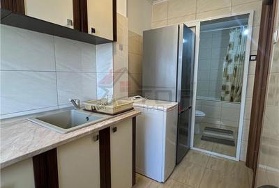 Apartament cu 2 camere nedecomandat în Podu Roș - 6