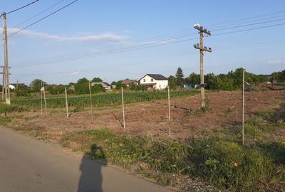 Teren de 2248 mp, în Moara Vlăsiei - 3