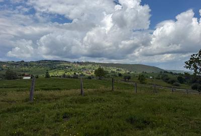 Teren agricol de 13600 mp, în Mărișel - 5