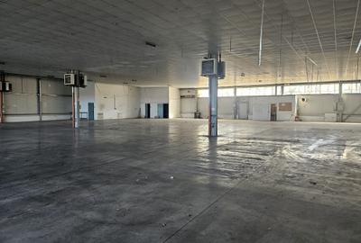 Spațiu industrial, de 6,000 mp, în Ghiroda