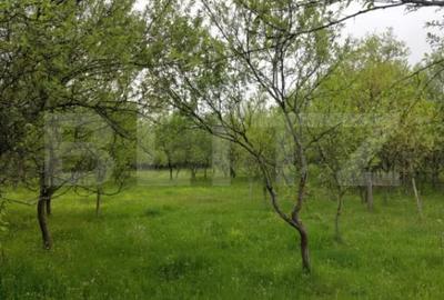 Teren în Brănișca - 3