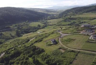 Teren agricol extravilan de 23092 mp, în Suseni - 5