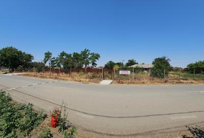 Teren Construcții intravilan de 5465 mp, în Topraisar - 15