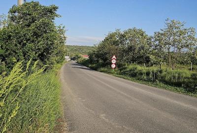 Teren de 2000 mp, în Slobozia Conachi - 3