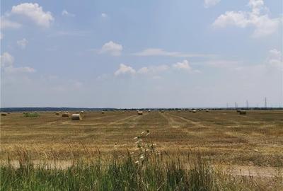 Teren de 5000 mp, în Central