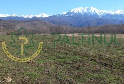 Teren agricol extravilan de 1737 mp, în Racovița - 9