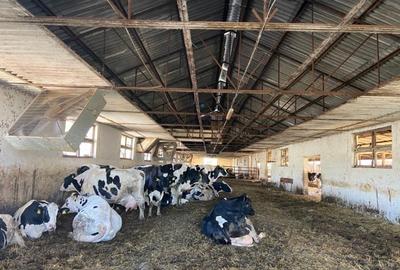 Proprietate specială, de 370,000 mp, în Cotorca - 2