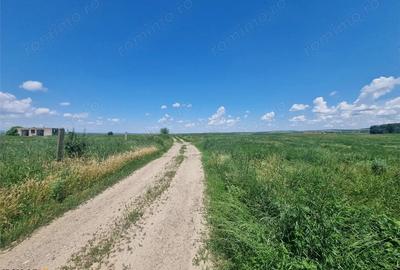 Teren de 27500 mp, în Șerbești - 7