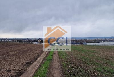 Teren agricol intravilan de 10000 mp, în Vest - 7