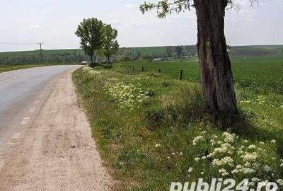 Teren de 45000 mp, în Central