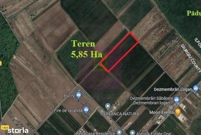 Teren de 58500 mp, în Săbăreni