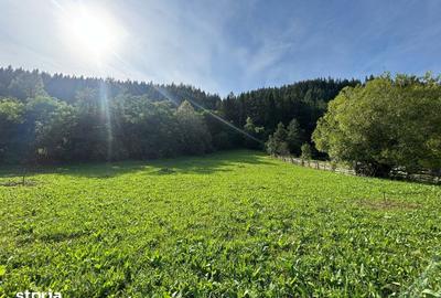 Teren de 7100 mp, în Grințieș - 4