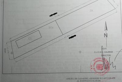 Casă cu Teren 978 Mp în Podu Pitarului - 1