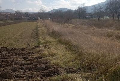 Teren de 2000 mp, în Brănișca - 4