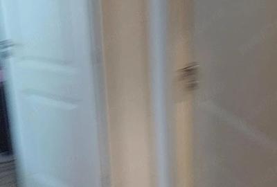 Apartament cu 2 camere decomandat în Ferentari - 10