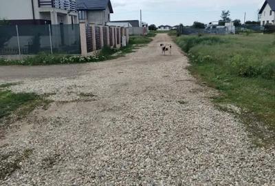 Teren de 450 mp, în Ciorogârla - 2