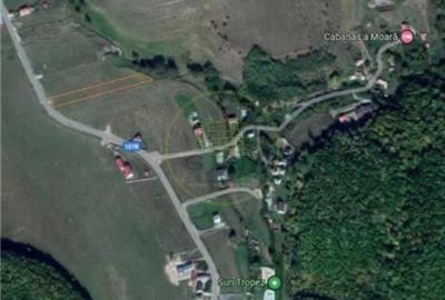 Teren de 910 mp, în Ciurila