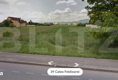 Teren de 10000 mp, în Stupini