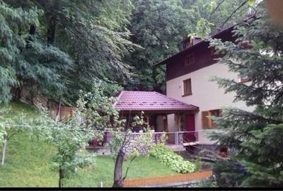 Casă cu 4 camere în Valea Doftanei - 3