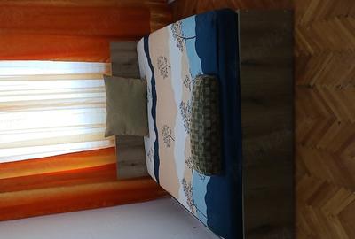 Apartament cu 3 camere semidecomandat în Take Ionescu - 8