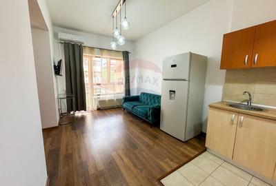 Apartament cu 1 camere, mobilat în Mihai Bravu
