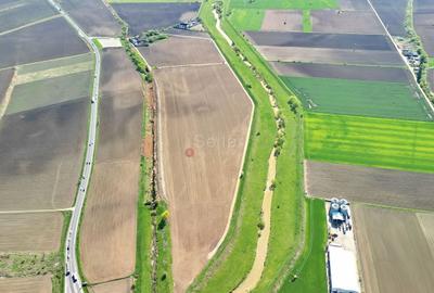 Teren Construcții intravilan de 126800 mp, în Stupini - 21
