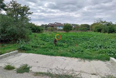 Teren Construcții intravilan de 1955 mp, în Chilia Veche - 1
