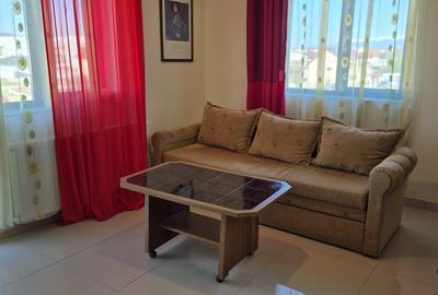 Apartament cu 2 camere decomandat în Tineretului - 4