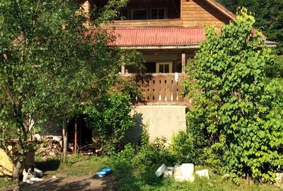 Casă cu Teren 932 Mp în Mihăileni - 3