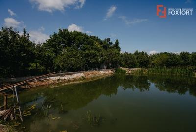 Casă individuală cu 8 camere cu Teren 4424 Mp în Jebel - 31