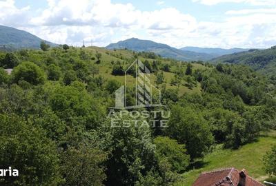 Casă cu 4 camere cu Teren 3534 Mp în Blăjeni - 6