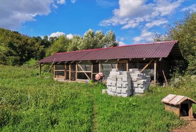 Casă cu 5 camere cu Teren 6800 Mp în Hărțăgani - 8
