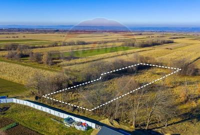 Teren Construcții intravilan de 4200 mp, în Dejani - 5