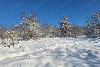 Teren de 2880 mp, în Mustești - 8